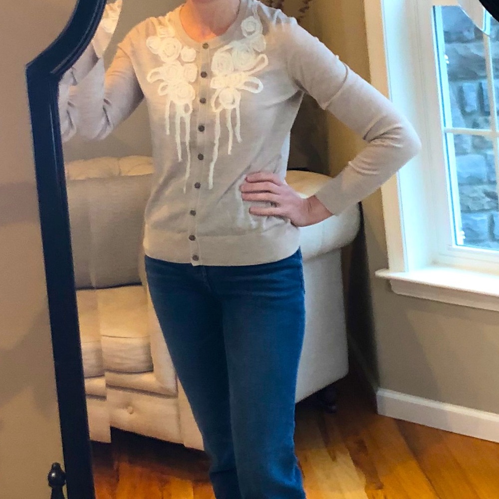 Banana Republic Merino Wool Cardigan